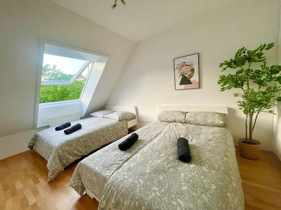 Apartament Premium 90 M2 Rooftop - Free Parking Wiedeń