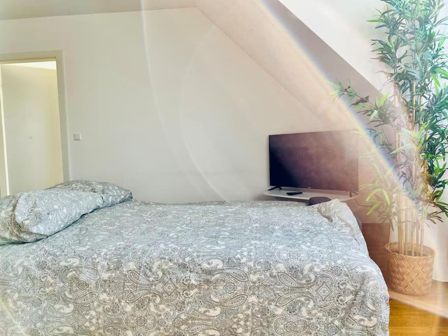 Premium 90 M2 Rooftop - Free Parking Vienne